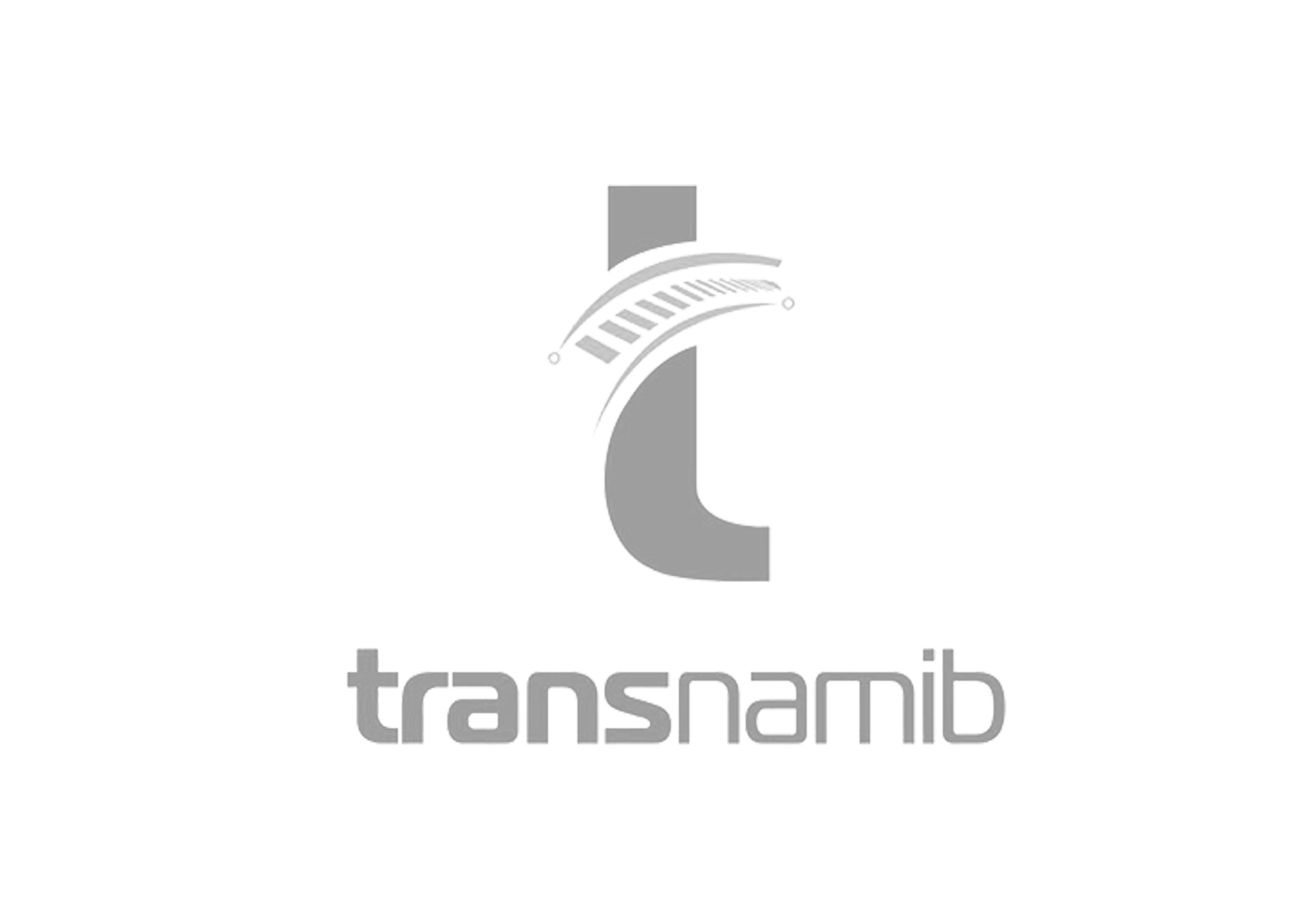 Transnam Logo